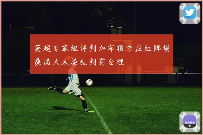 英超专家组评判加布顶牛应红牌胡桑诺夫未染红判罚合理